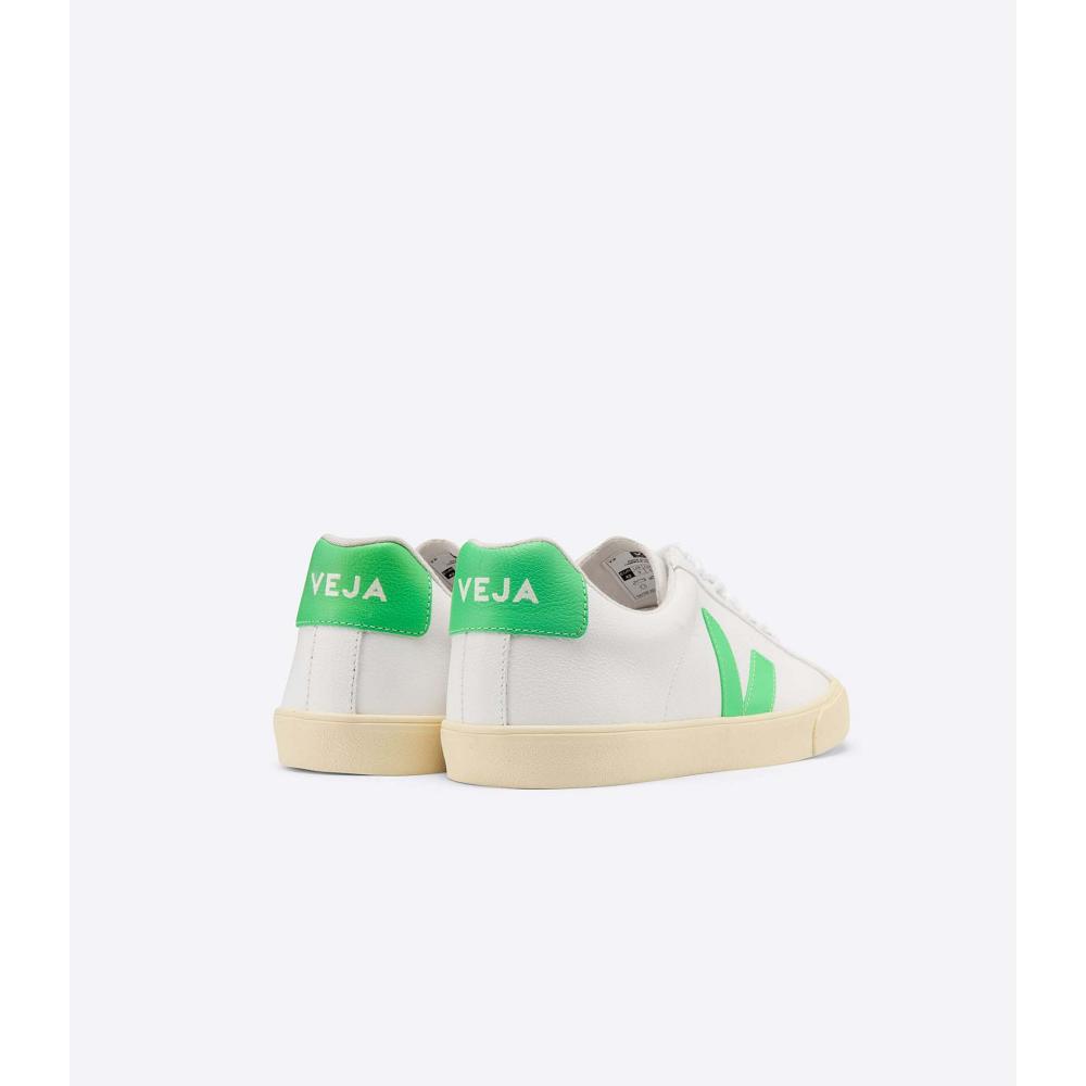 White/Green Women's Veja ESPLAR CHROMEFREE Sneakers | AU 612NWY